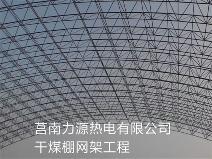 林州力源热电有限公司干煤棚网架工程